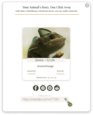 Shareable animal card