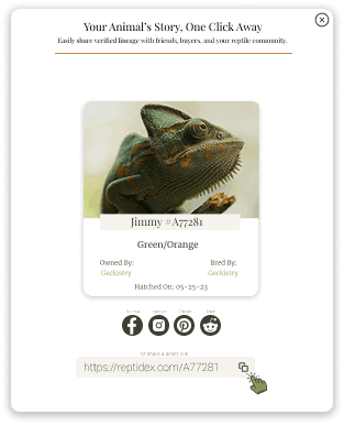 Shareable animal card